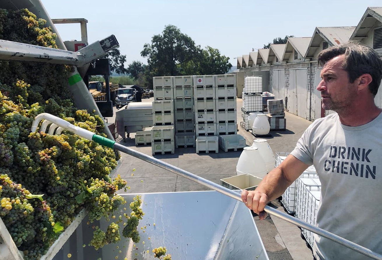 Leo Hansen hard at work raking grapes out of a bin and wearing his Drink Chenin t-shirt