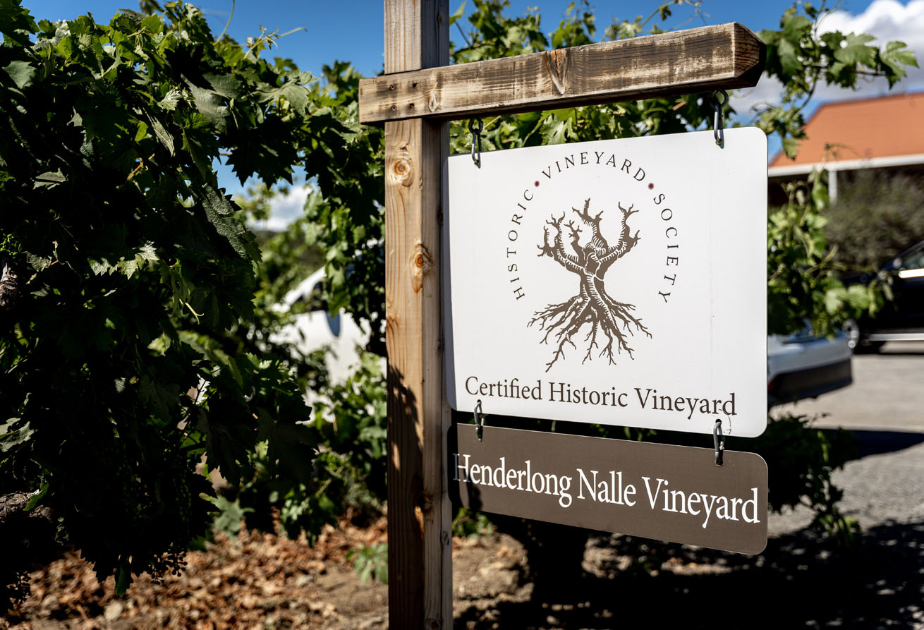Henderlong Nalle certified historic vineyard in Dry Creek Valley, California
