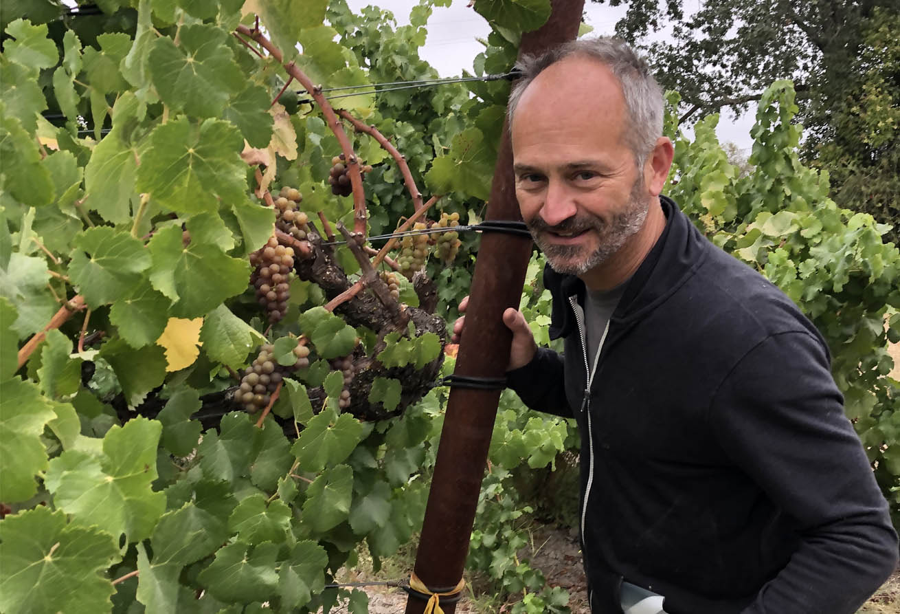 Two Shepherds natural winemaker, William Allen, posing with grapes