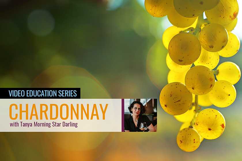 Learn what’s behind the Chardonnay wine grape