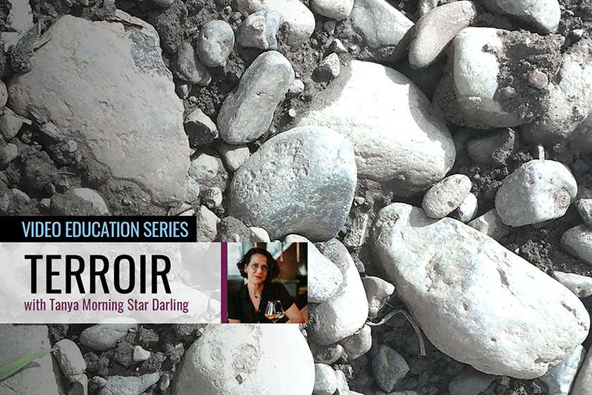 Get to know terroir